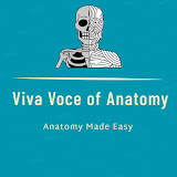 AnatomyZone